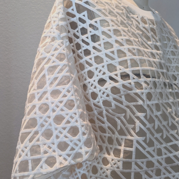 (SOLD) NEW 3.1 Phillip Lim Sheer Top - Picture 5 of 10